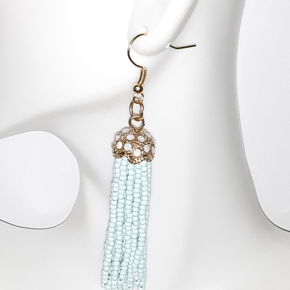 Earrings seed bead tassel